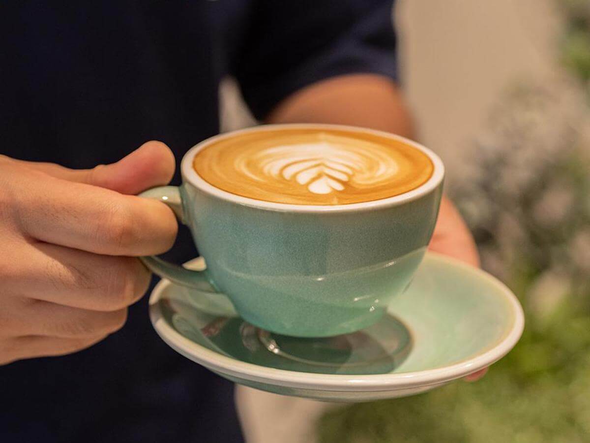 Loveramics | Egg 15.5cm Saucer - Potters Colours - 6pk