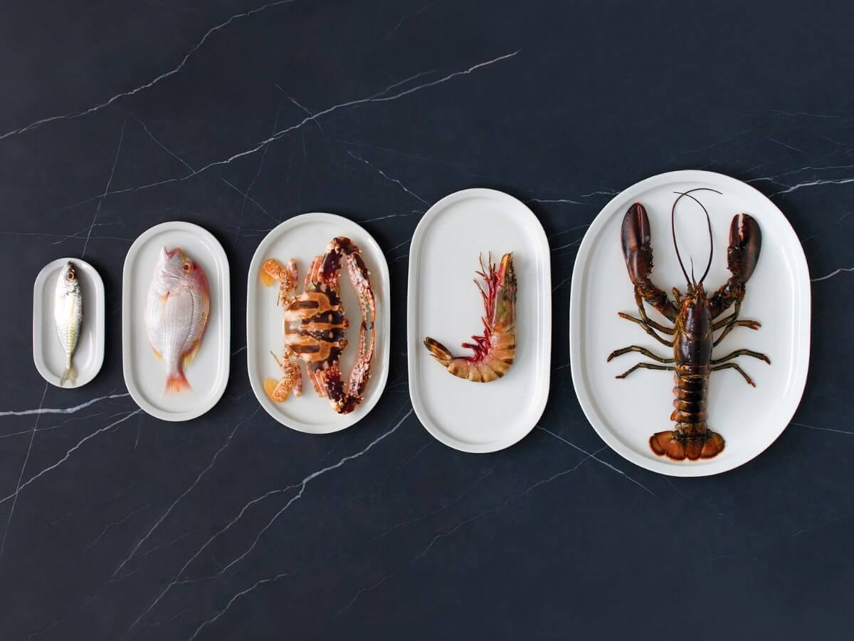 Loveramics | Er-Go! System 37cm Fish Plate - 4pk