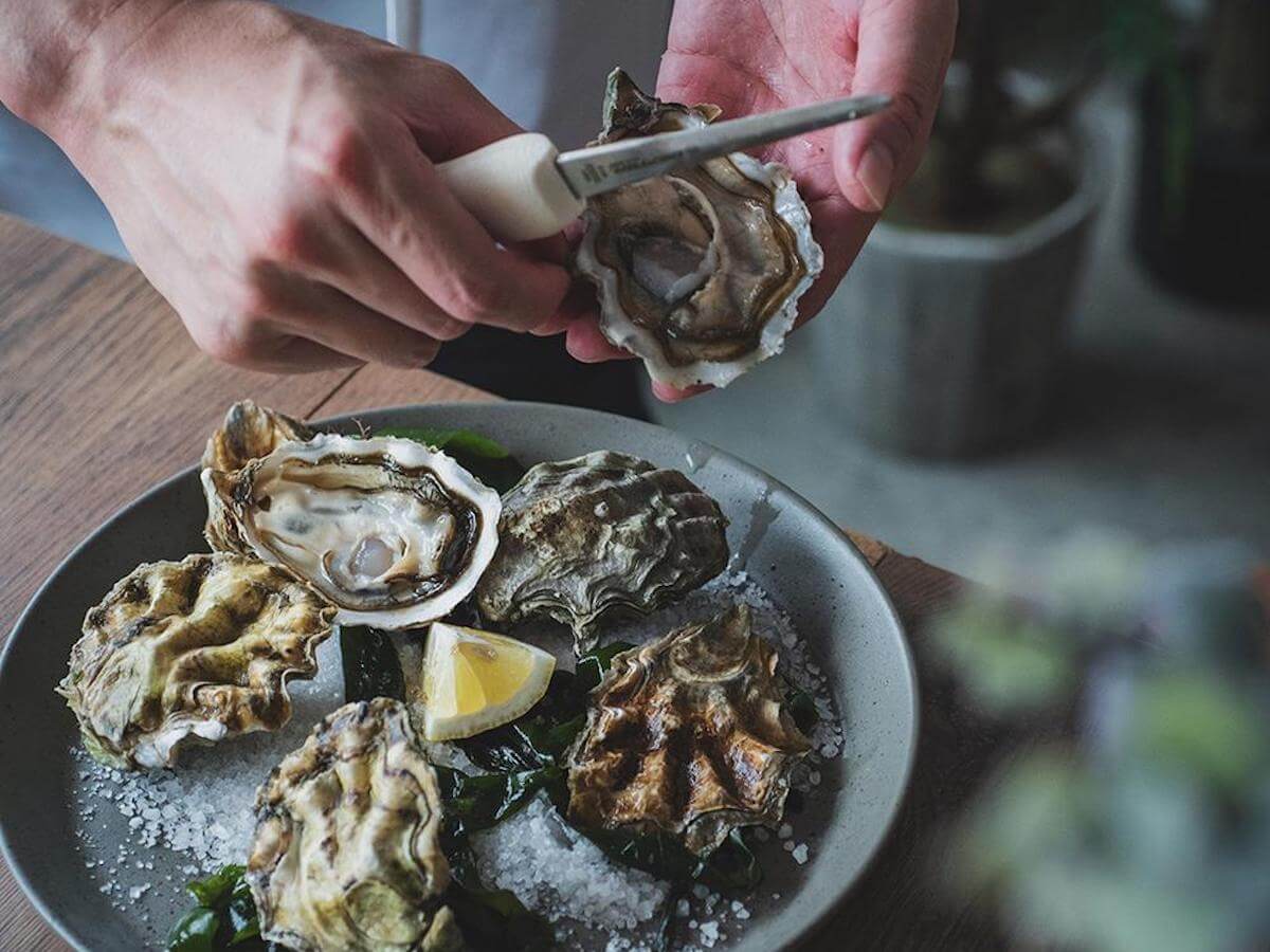 Loveramics | Stone 23cm Salad Plate - 6pk