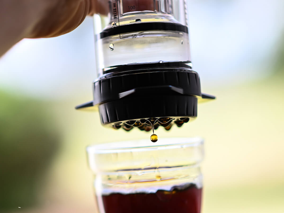 Delter | Coffee Press